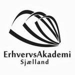 Erhvervs Akademi