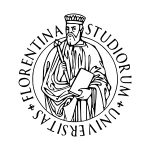 Florentina University